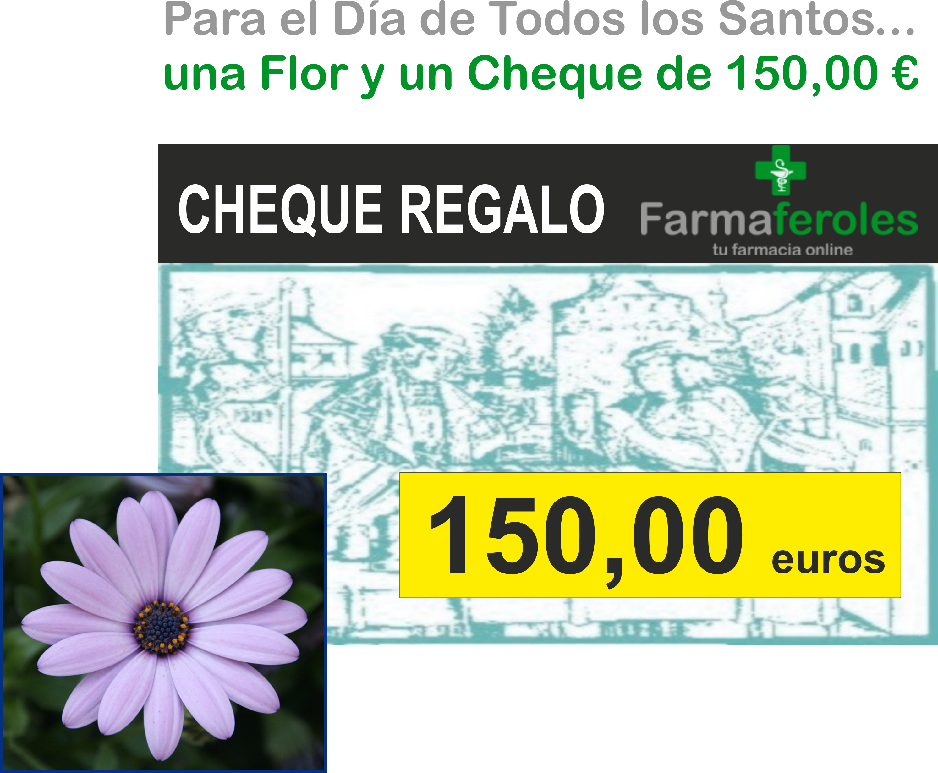 Una flor y un cheque regalo de 150,00 € para el día de Todos los Santos